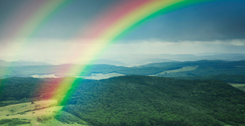 “Quien desee ver el arco iris, debe aprender a disfrutar de la lluvia”