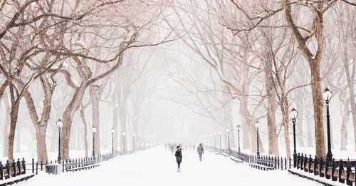 “Lo sientes, ese punzante perfume de frío en el aire, el gris en los ojos y esos largos ocasos. Es el invierno que llega”